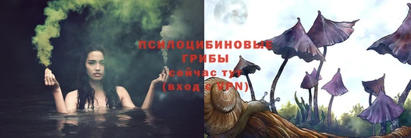 амф Богородицк