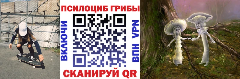 Галлюциногенные грибы мицелий  купить наркотики цена  Катайск 